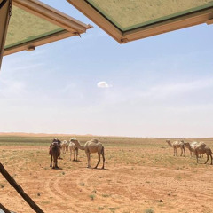 شعر الهاجري ):