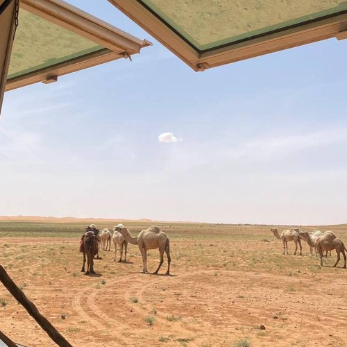 شعر الهاجري ):