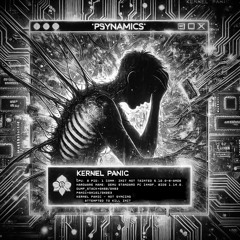 Kernel Panic