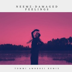 Neemz - Damaged Feelings (Tommi Ambrosi Remix)
