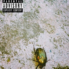 Wasabi - Zauważ mnie prod. grayskies