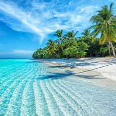 Herr G's Secret Stash