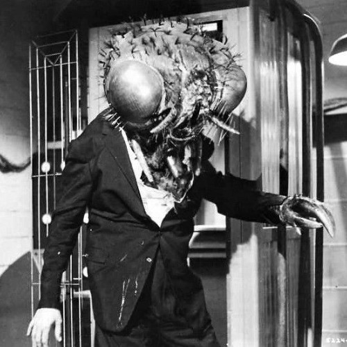 OBSCQURE - KILL THE FLY [FREE DOWNLOAD]