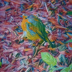 Birds Tear Adagio