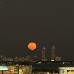 FANTASY x MollyH4rdt