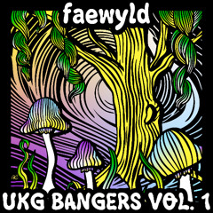 UKG BANGERS VOL 1 - faewyld mix
