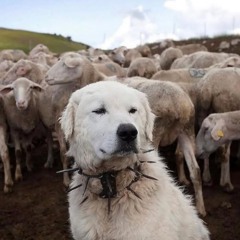 Temporary (prod. 999ines)