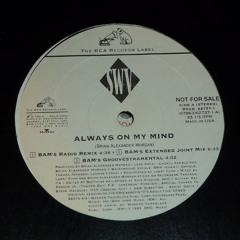 You're Always On My Mind (remix)
