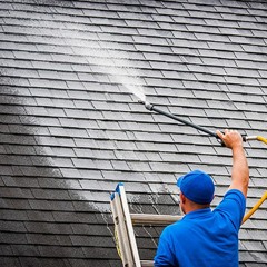 Best Techniques That A Technician Can Utilise For Roof Cleaning