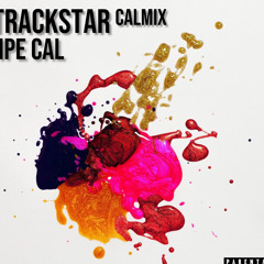 NPE CAL- Trackstar ( a CALMIX)