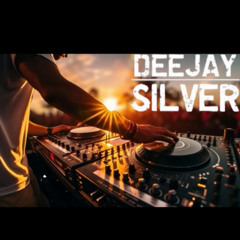 MEGAMIX OUTDOOR DJ SILVER