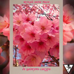 Шукай Мене Там Де Цвітуть Сакури