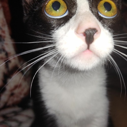 Acho que eu sou doente