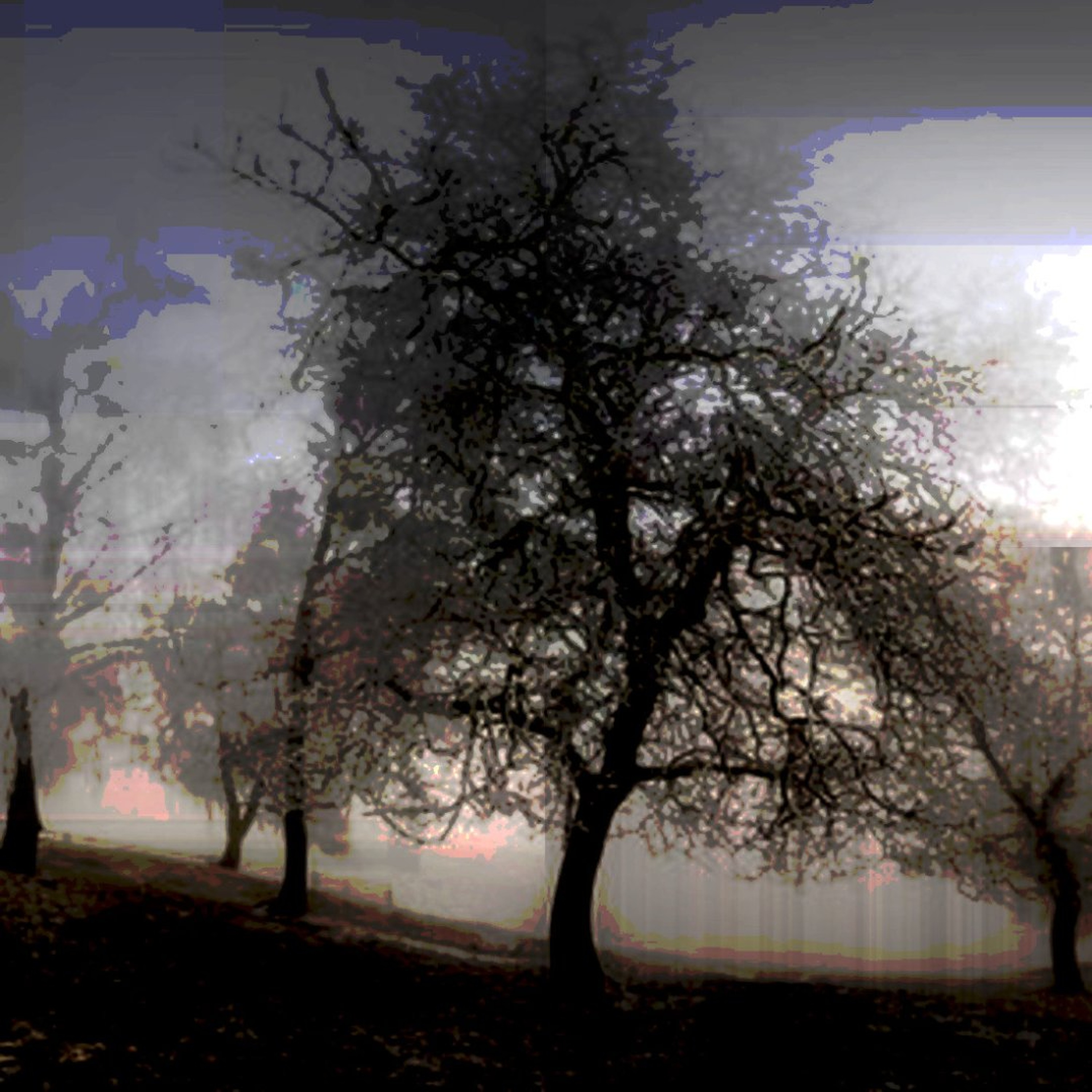 Among Bare Branches (naviarhaiku658) episode artwork