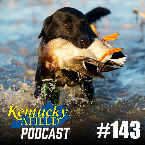 Podcast graphic showing a dog holding up a duck