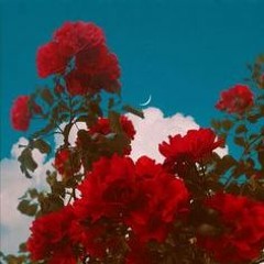 Red & Blue (Prod. OSVMA)