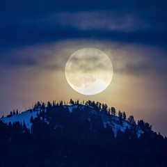Montana Moon