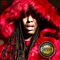 "Certified" (remix)