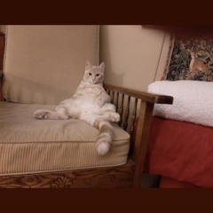 listen up & sit the fuck down . .mp3