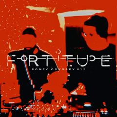 Sonic Odyssey 012 [Hubryis vs Foresyte]