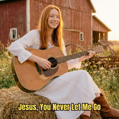 Jesus, You Never Let Me Go (Acoustic Version)