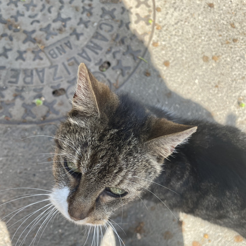 Meem's Waltz - 01.06.2024, 21.15