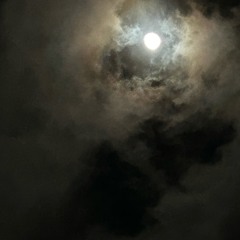 ShawtySchautAusWie??? (seraphim)