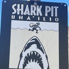 SHARK PIT [Demo v2]