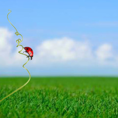 There is so much life to live and I will live it!