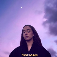 Torn roses