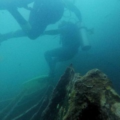 Esta Ciencia (REgularBEats)