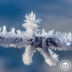 deep story nr. 220 | below zero | by Siru
