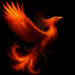 FREEDOM (Melodic House & Techno mix)