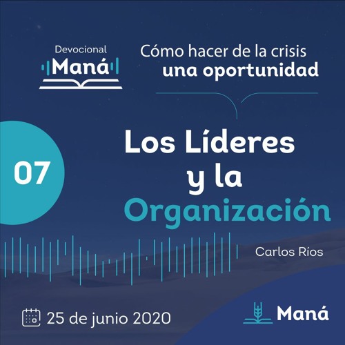 Carlos Ríos - Los Líderes Y La Organización - 25 de junio 2020