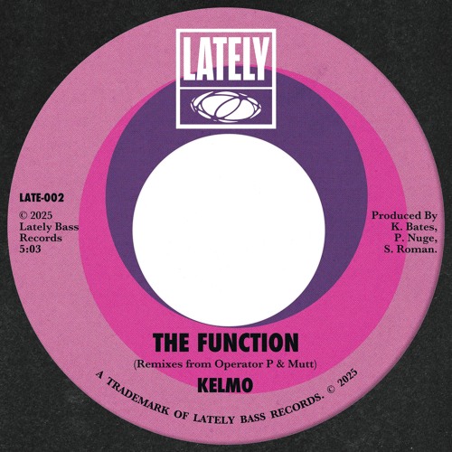 03. Kelmo - The Function (Operator P Remix)