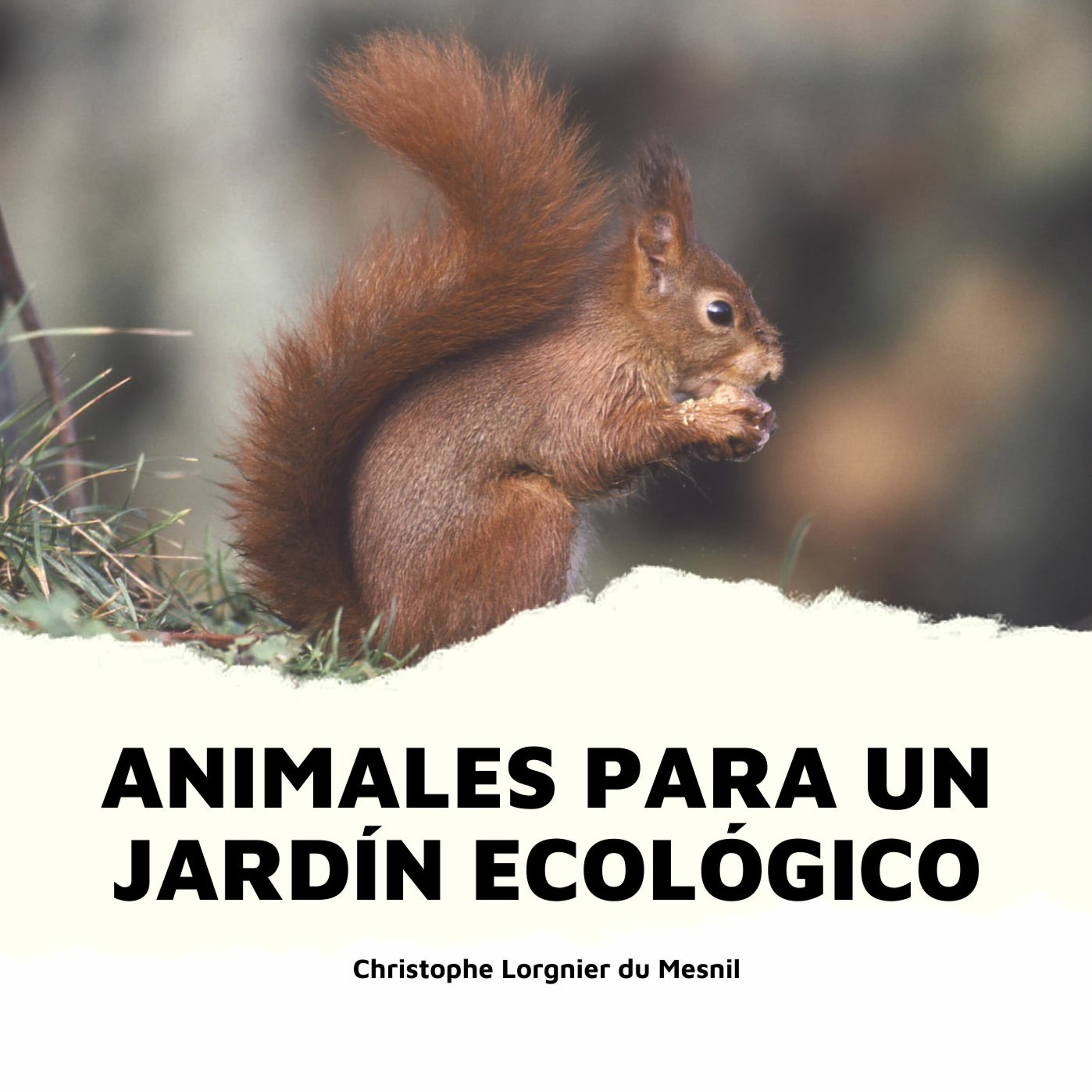 Devecchi Ediciones