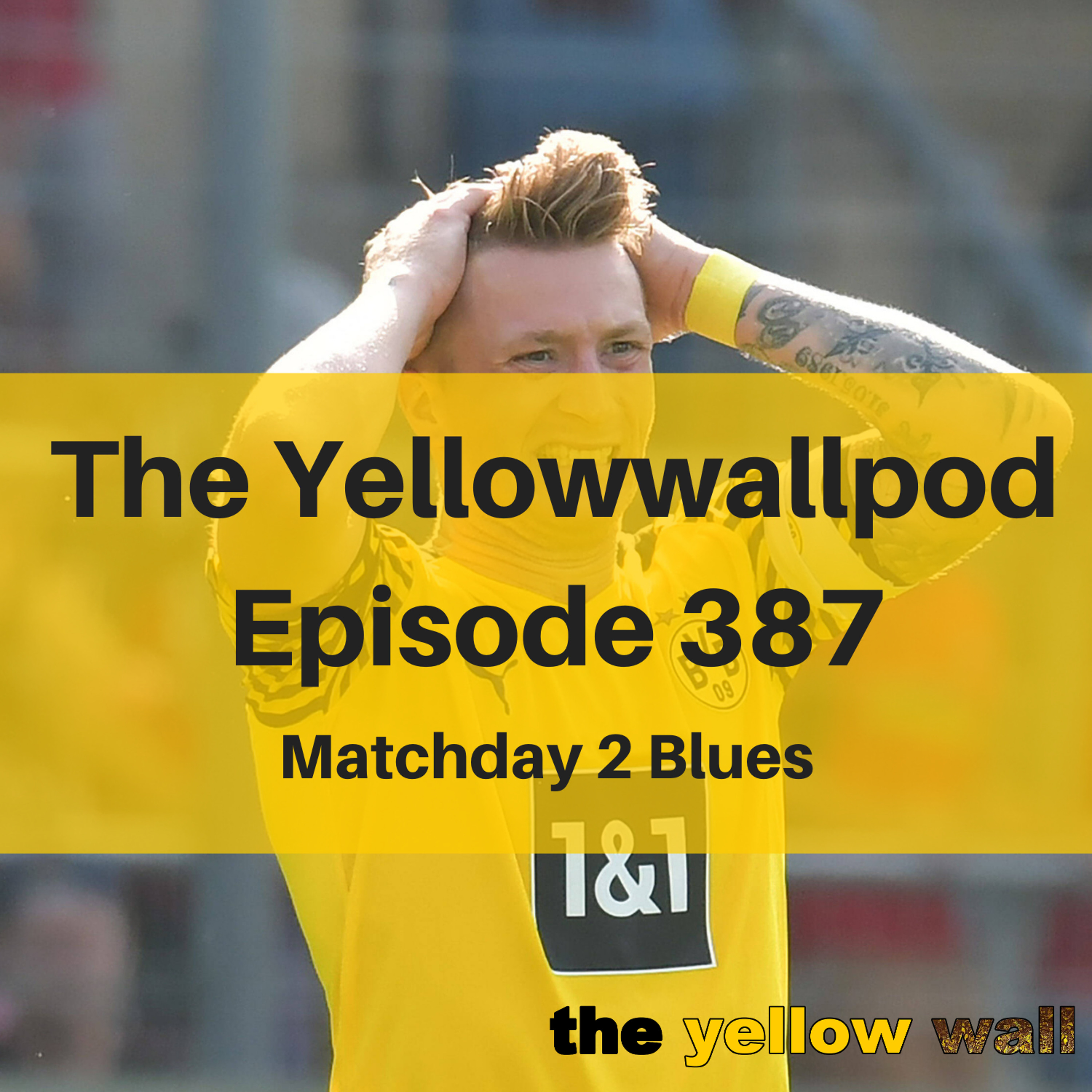 Yellowwallpod
