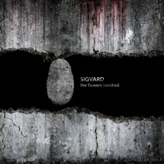 Sigvard - Man Of A Good Heart - Materia [PREMIERE]