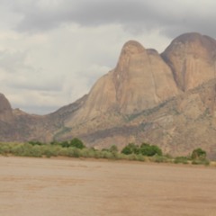 د/عمر الامين _وانا جنبك