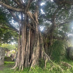 Ach wie ist‘s möglich dann