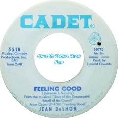 Jean DuShon - Feeling Good (Caleb's Flying High Flip) *Free DL