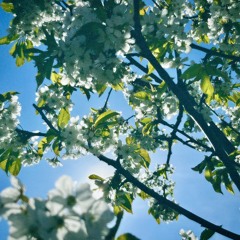 Ethereal x Freya Ridings