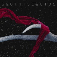 Gnothi Seauton