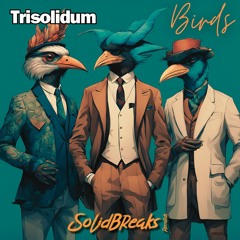 Trisolidum - Birds (Breakbeat Mix)