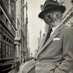 L'Impératrice Anomalie Bleue (LIVE)