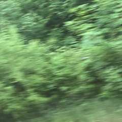 train window interlude 2