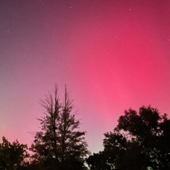 STARLIGHT