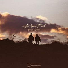 Straijit & Colorless - As You Feel