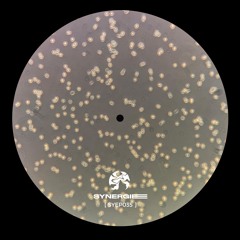 GTG Premiere | Iceworld - No End In Sight [SYEP035]