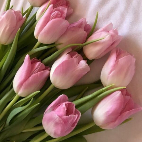 Yêu một người có ước mơ  Đức Phúc